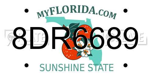 8DR6689 Florida License Plate