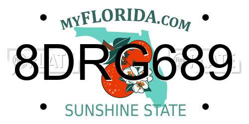 8DRG689 Florida License Plate