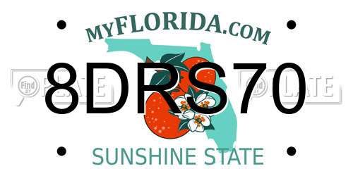 8DRS70 Florida License Plate