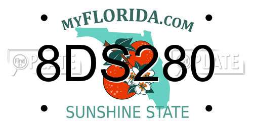 8DS280 Florida License Plate