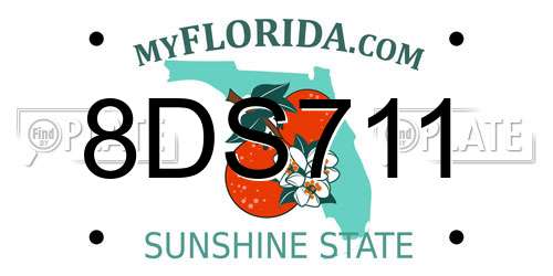 8DS711 Florida License Plate