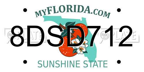 8DSD712 Florida License Plate