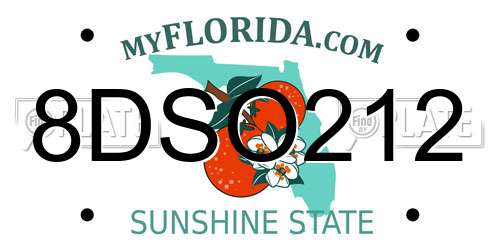 8DSO212 Florida License Plate