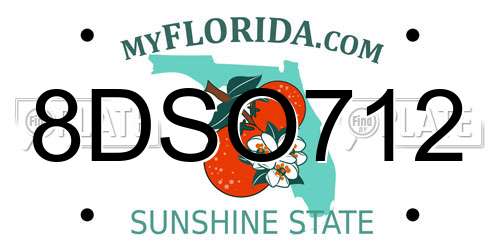 8DSO712 Florida License Plate