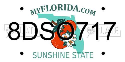 8DSO717 Florida License Plate