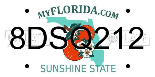 8DSQ212 Florida License Plate