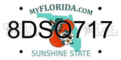 8DSQ717 Florida License Plate