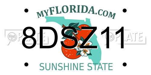8DSZ11 Florida License Plate