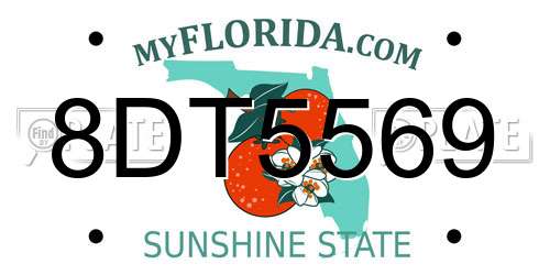 8DT5569 Florida License Plate