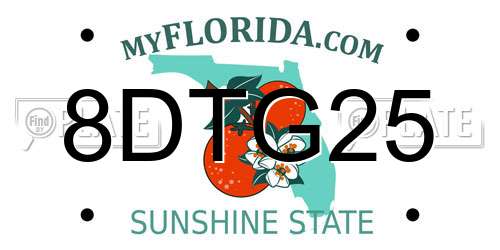 8DTG25 Florida License Plate