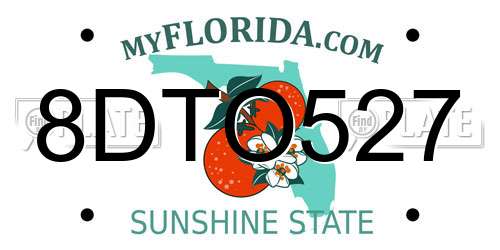 8DTO527 Florida License Plate