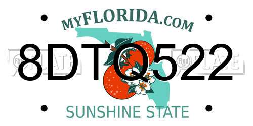 8DTQ522 Florida License Plate