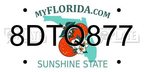 8DTQ877 Florida License Plate