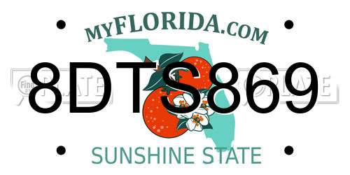 8DTS869 Florida License Plate