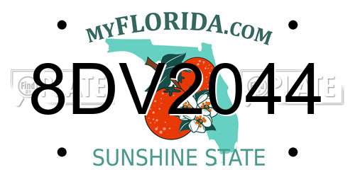 8DV2044 Florida License Plate