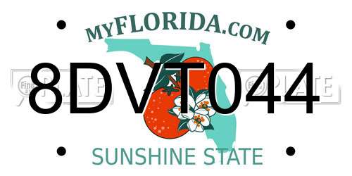 8DVT044 Florida License Plate
