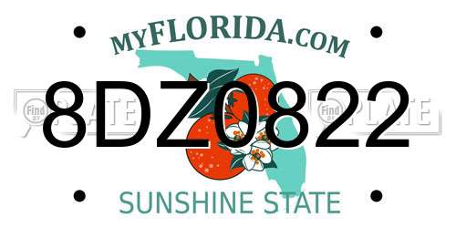 8DZ0822 Florida License Plate