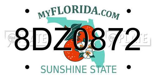 8DZ0872 Florida License Plate