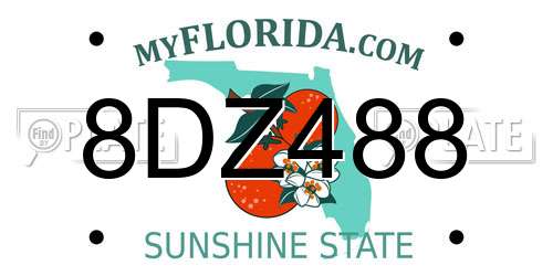 8DZ488 Florida License Plate