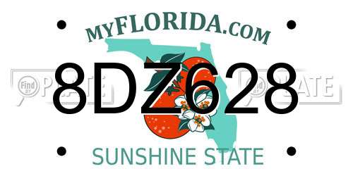 8DZ628 Florida License Plate