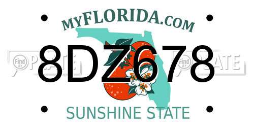 8DZ678 Florida License Plate