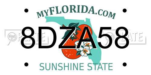 8DZA58 Florida License Plate