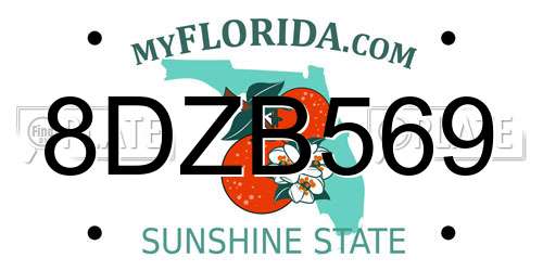 8DZB569 Florida License Plate