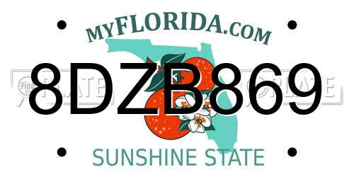 8DZB869 Florida License Plate