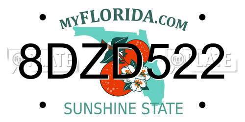 8DZD522 Florida License Plate