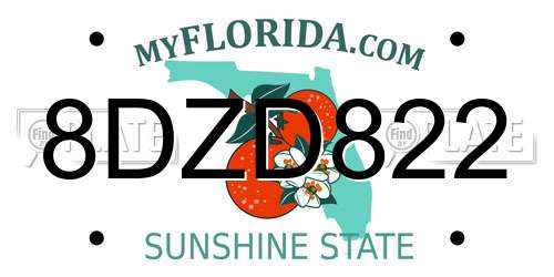 8DZD822 Florida License Plate