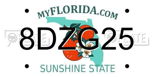 8DZG25 Florida License Plate