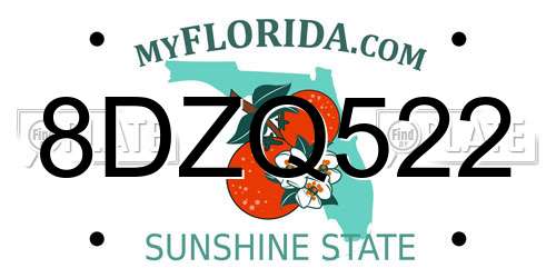 8DZQ522 Florida License Plate