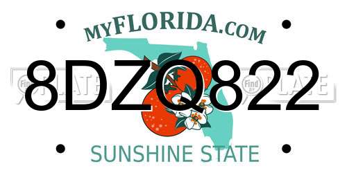 8DZQ822 Florida License Plate