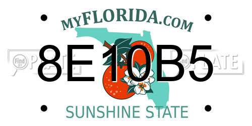 8E10B5 Florida License Plate