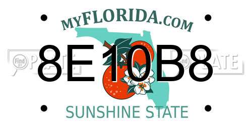 8E10B8 Florida License Plate