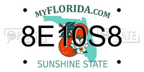 8E10S8 Florida License Plate
