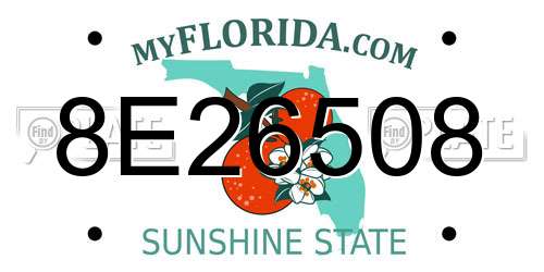 8E26508 Florida License Plate