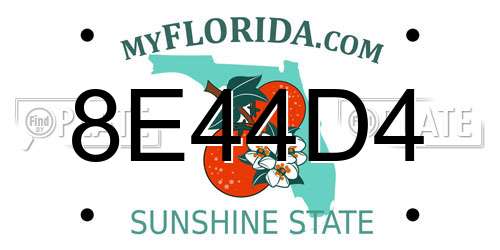 8E44D4 Florida License Plate
