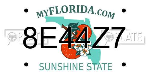 8E44Z7 Florida License Plate