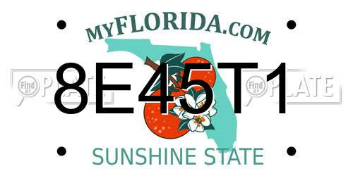 8E45T1 Florida License Plate