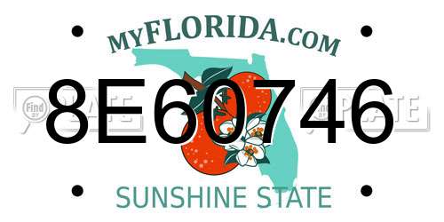 8E60746 Florida License Plate