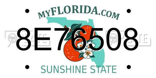 8E76508 Florida License Plate