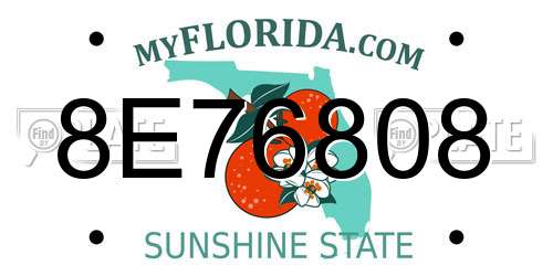8E76808 Florida License Plate