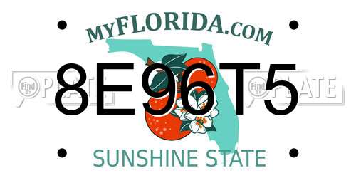 8E96T5 Florida License Plate
