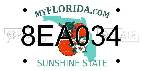 8EA034 Florida License Plate