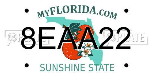 8EAA22 Florida License Plate