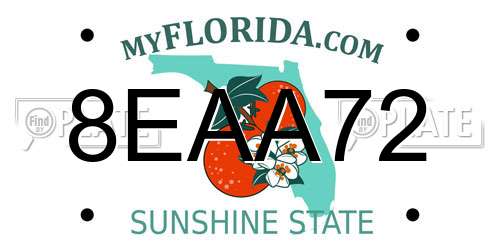 8EAA72 Florida License Plate