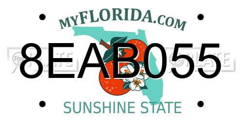 8EAB055 Florida License Plate