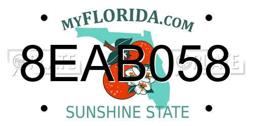 8EAB058 Florida License Plate