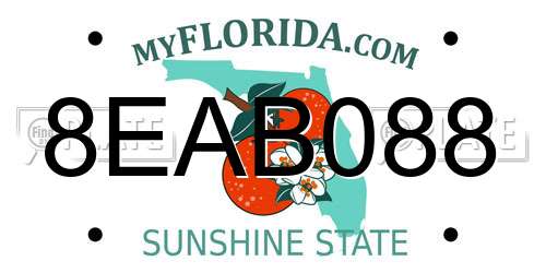 8EAB088 Florida License Plate